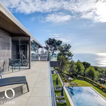 Alta Tella By Hilo Collection *
